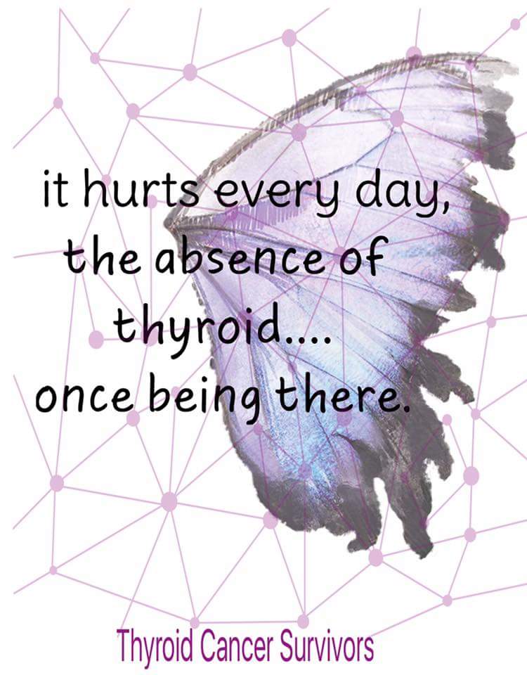 14590475_1242945622392563_7955611485151888145_n