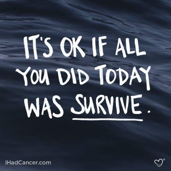 17201051_1306569069411073_8337189729220330281_n