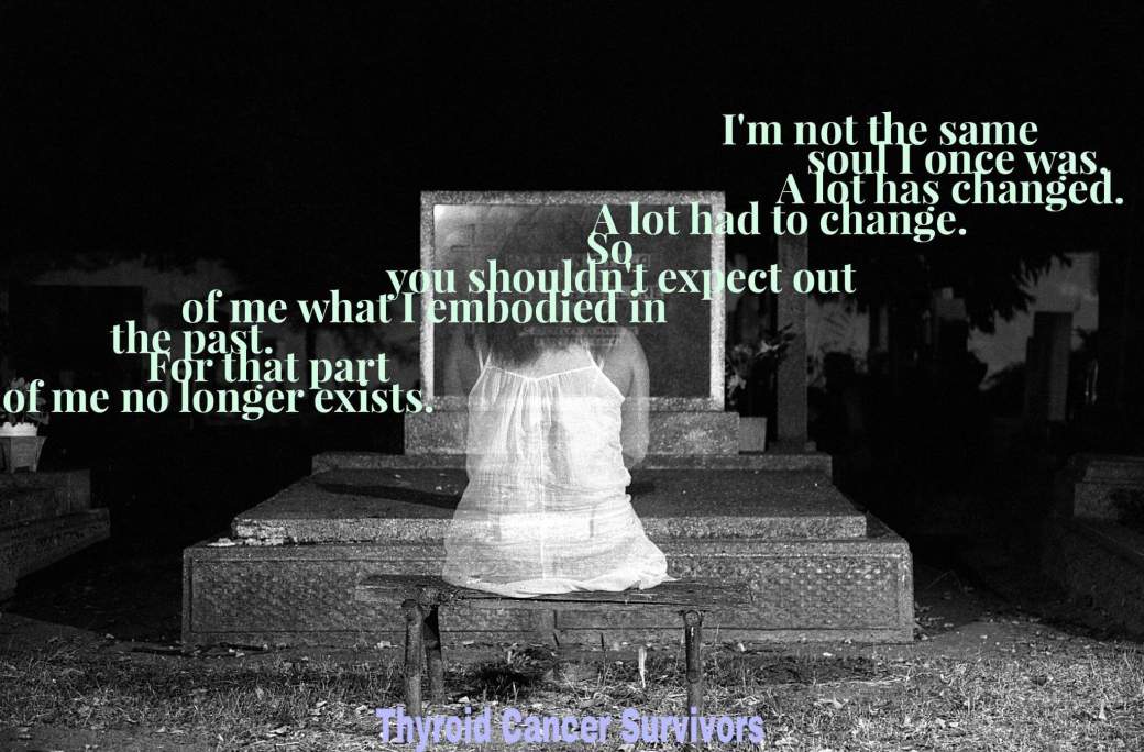 17240408_1402364249784032_4100616700419683873_o