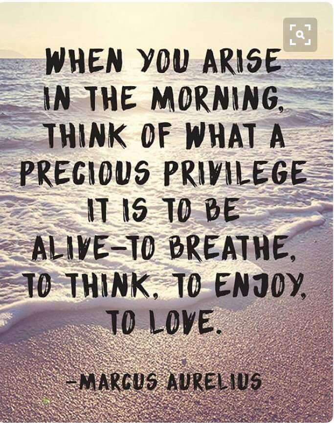 17352190_10211063697002294_8350544258684165545_n